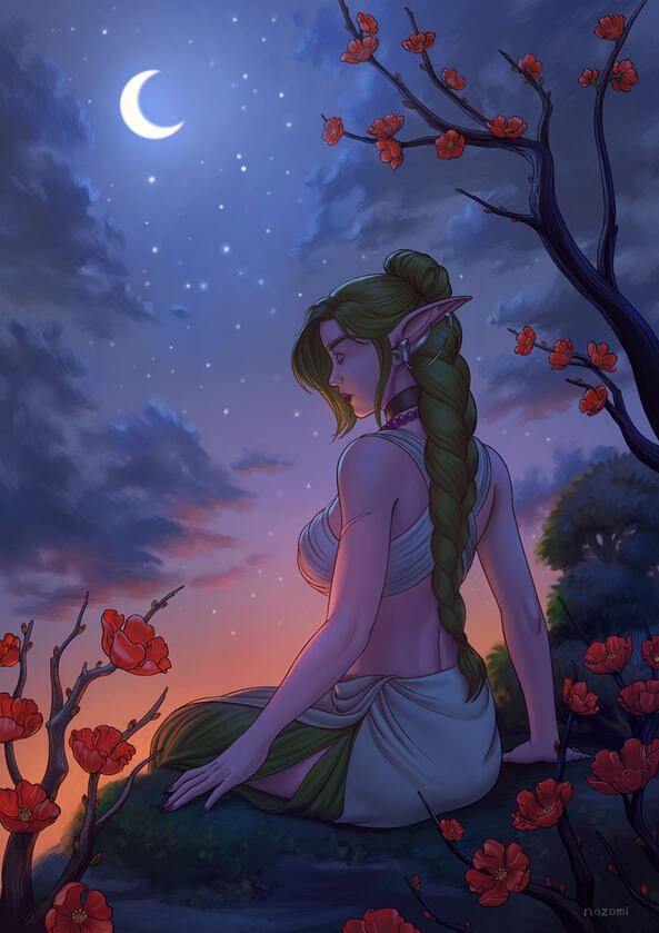 'Nocturne'